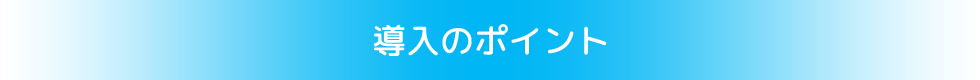 導入のポイント
